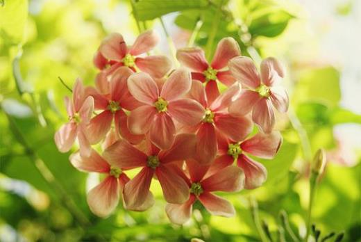 名人传经典片段感悟