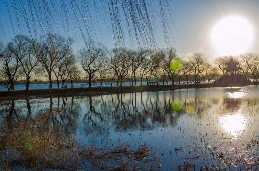 小智语录卢本伟开挂事件