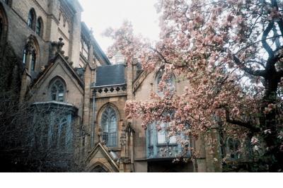 行走的人生经典语录