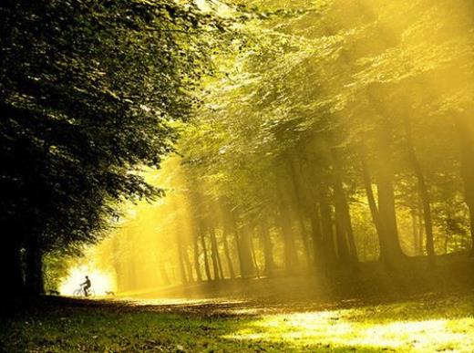 牵挂蓝颜知己的句子