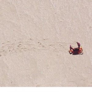 ​感悟人生的经典句子 100条精辟人生箴言