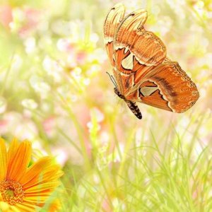 ​经典语录 感悟人生