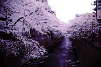 ​简简单单的幸福的短句 越简单越幸福经典语录