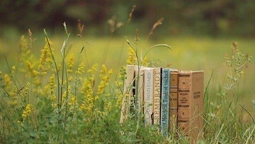 孩子的经典语句