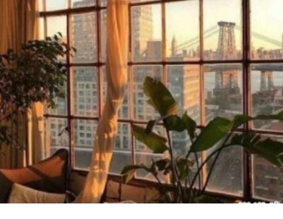 紫霞仙子的经典语录精选