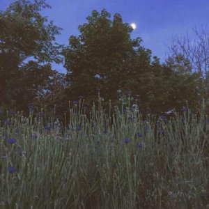 ​时间冲不淡同学情谊的经典语句 时间冲淡一切优美句子