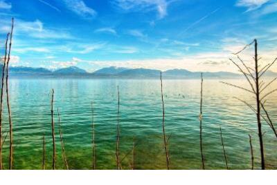 关于文明的作文好词好句