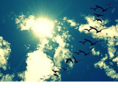 老师感谢家长的话语暖心