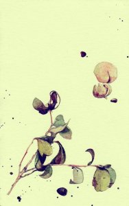 ​关于命运的优美段落[60句] (好词好句好段大全优美)