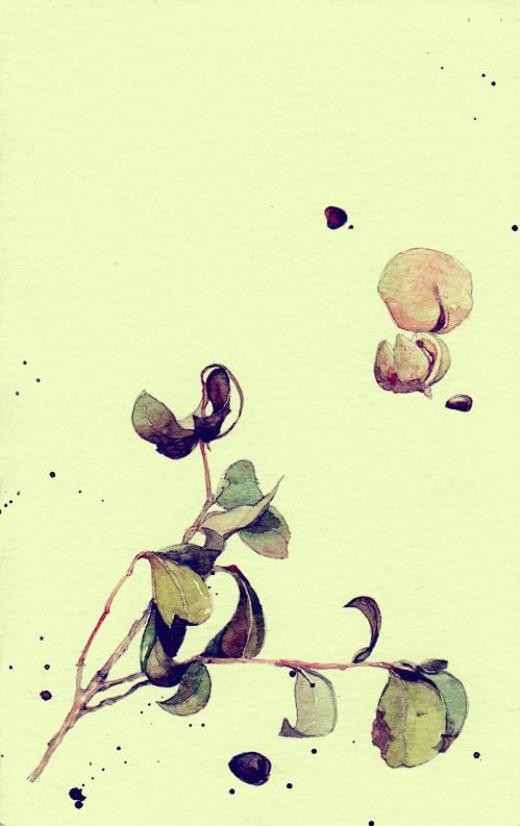 关于命运的优美段落