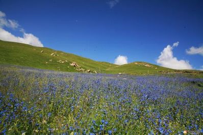 风景在路上用什么美句 “最好的风景在路上”的下一句是什么？