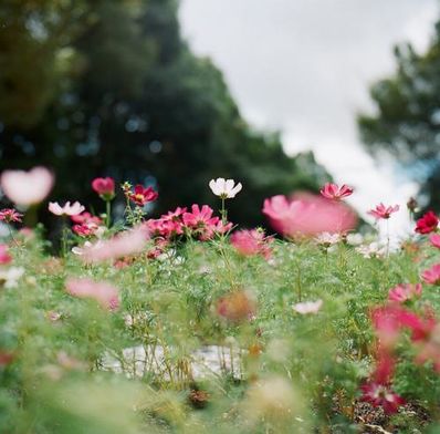 八月盛夏文艺句子