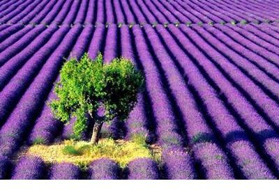 跨年夜一个人的句子