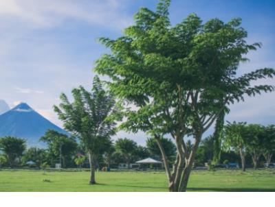 性笑话大全笑破你的肚子