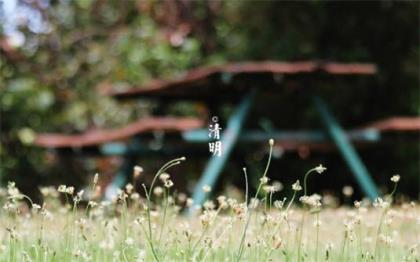 哄女朋友开心的情话