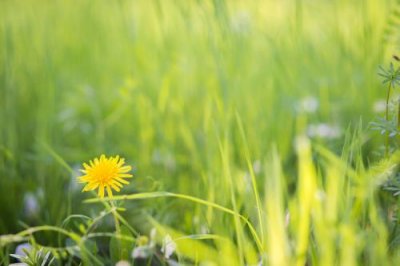 ​关于青春的qq个性签名[50条] (qq青春说说大全带图片)