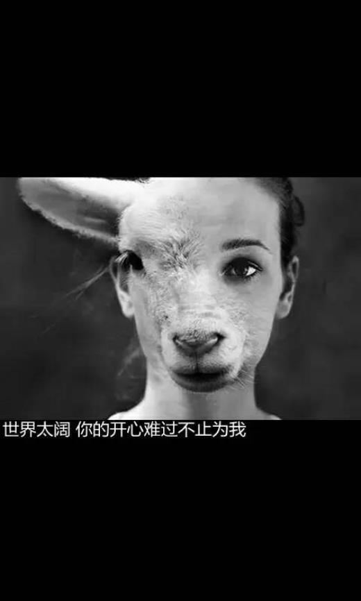 八个字的杀气古风句子