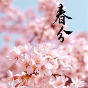 ​气质社会语录说说霸气 霸气女神的超拽个性签名