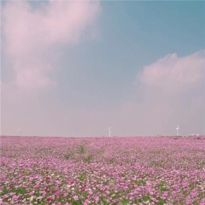 高考加油的话唯美句子图片带字