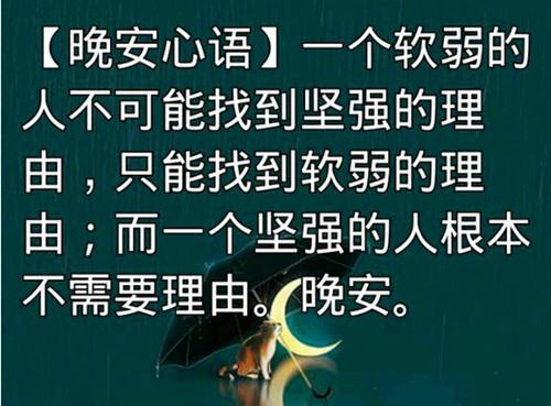 高质量的温柔文案短句
