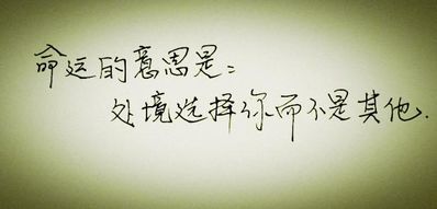 吹风的优美句子 描写风吹风树叶的句子