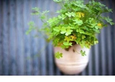 静静思考人生的句子