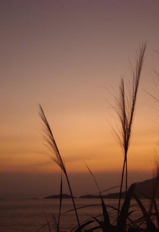 特别委屈想哭的文案