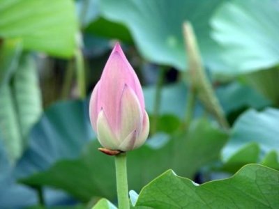 ​霸气超拽个性签名冷酷 高冷说说女生霸气狠心