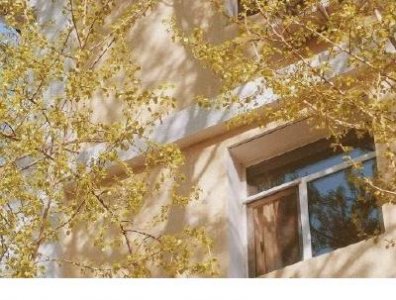 ​关于秋天的句子短句