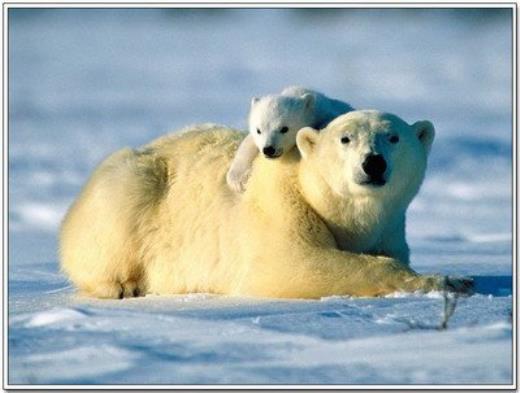 高考励志句子大全