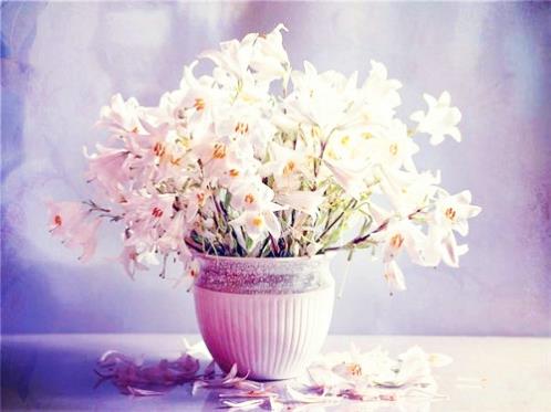 失恋后安慰自己的话 如何安慰失恋的女孩