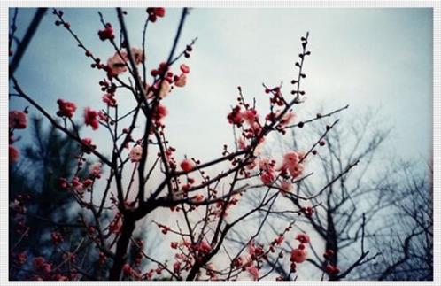 非主流伤感爱情个性签名