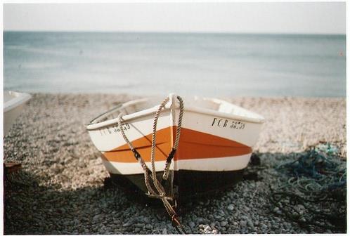 经典生活感悟名言：生活内容就愈多彩…