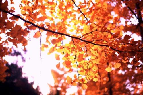 初三中考励志的一段话