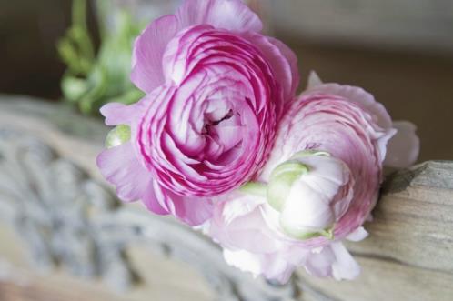 女人奋斗励志句子(女人霸气微商励志语录)