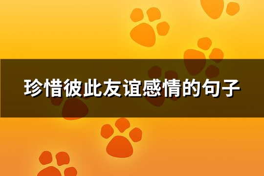 珍惜彼此友谊感情的句子(热门140句)