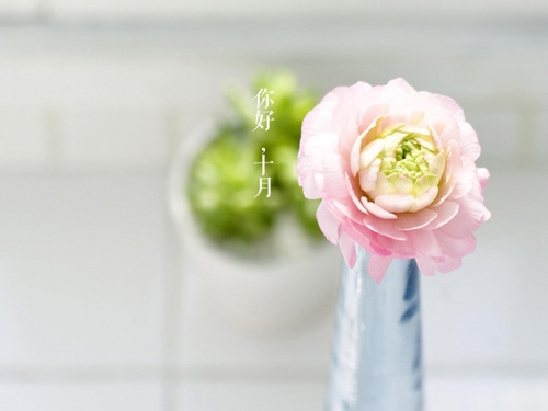 适合晚上发的暖心短句(共134句)