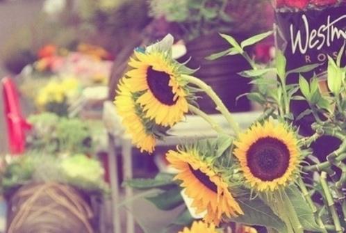 母亲节贺卡祝福语短句（母亲节祝福语20字短句）