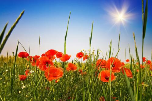 母亲节贺卡祝福语短句（母亲节祝福语20字短句）