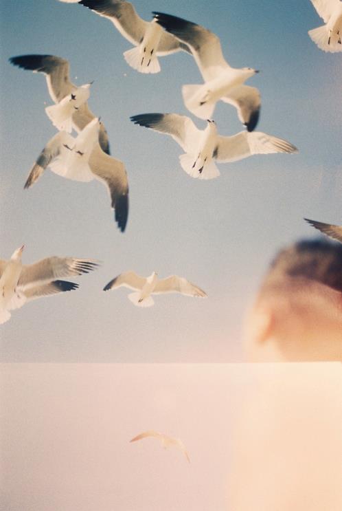 鼓励自己的一句话