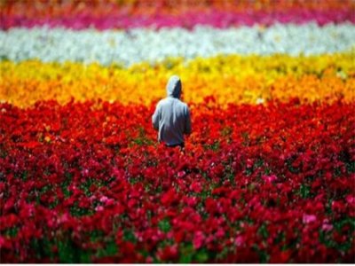 ​2023抖音最火的文案