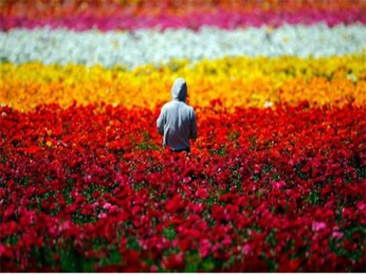 2023抖音最火的文案