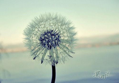 人对生活的感悟文案