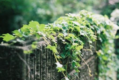 正式告别一段感情的话 2023抖音网红情侣分手