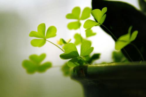 珍惜彼此感情的句子（遇到感情挫折的句子）