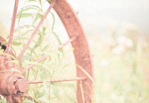 感人祝福语：开朗的人不一定开心…