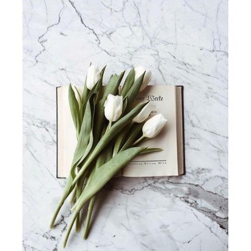 护士节搞笑祝福语