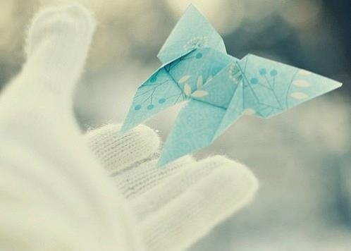 描写蝉的优美句子