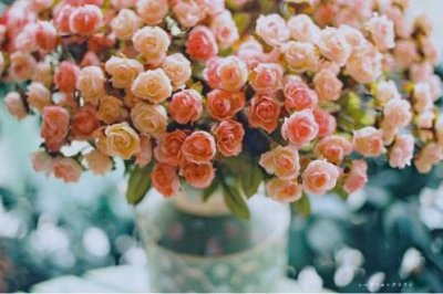 ​晚安励志正能量心语