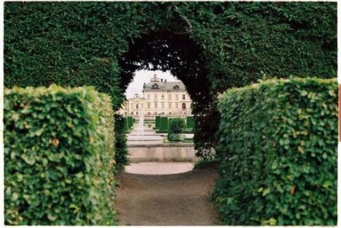 描写老人苍老外貌的句子